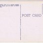 Florida Postcard Vero Beach McKee Jungle Garders Stately Royal Palms