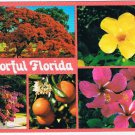 Florida Postcard Colorful Trees Fruit Flowers Multi View