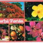 Florida Postcard Colorful Trees Fruit Flowers Multi View