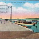 Michigan Postcard Munising City Dock Grand Island 1941