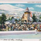 Illinois Postcard Chicago World Fair Black Forest Kaufmann Fabry Photo 1934