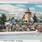 Illinois Postcard Chicago World Fair Black Forest Kaufmann Fabry Photo 1934