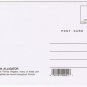 Florida Postcard Handsome Alligator Reptile