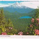 Oregon Postcard Rhododendrons Mt Hood National Park Lost Lake