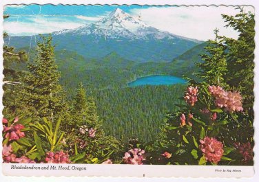 Oregon Postcard Rhododendrons Mt Hood National Park Lost Lake
