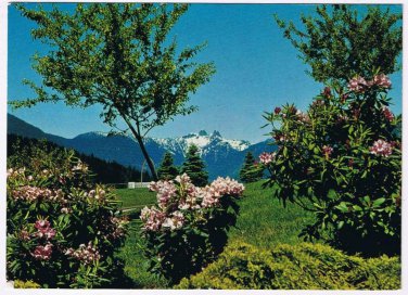 British Columbia BC Postcard Vancouver The Lions Rhododendrons
