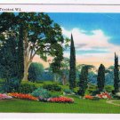 Trinidad West Indies Caribbean Island Postcard Rock Garden