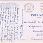 California Postcard Death Valley National Monument Twenty Mule Team Borox