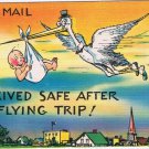 Postcard Arrived Safe After A Flying Trip Air Mail Stork Baby