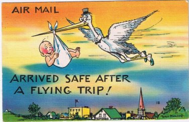 Postcard Arrived Safe After A Flying Trip Air Mail Stork Baby
