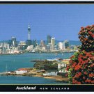 New Zealand Postcard Auckland Pohutukawa Tree NZ Christmas Tree