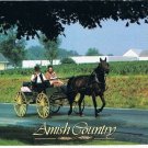 Pennsylvania Postcard Amish Country Horse Wagon Farm Buggy