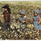Waterloo County Ontario Postcard Mennonite Children Field of Daisies