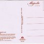 Waterloo County Ontario Postcard Mennonite Children Field of Daisies