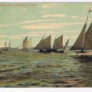 Ontario Postcard Toronto Yachting On Toronto Bay 1912