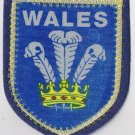 Wales Patch Badge Handpainted Felt Backing 2.5" x 3"