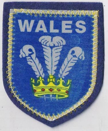 Wales Patch Badge Handpainted Felt Backing 2.5" x 3"