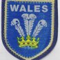 Wales Patch Badge Handpainted Felt Backing 2.5" x 3"