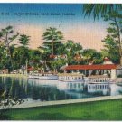 Florida Postcard Silver Springs Near Ocala