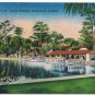 Florida Postcard Silver Springs Near Ocala