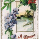 Postcard Embossed A Merry Christmas Snow Scene Violets Mistletoe