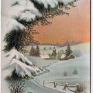 Holiday Postcard Embossed Happy New Year Snowy Country Scene Bird