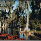 Florida Postcard Lake Eloise Florida's Cypress Gardens