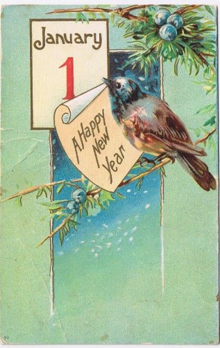 Postcard Embossed Happy New Year Bird Blue Berries January 1 Calendar