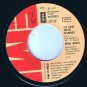 Peggy March Fly Away Pretty Flamingo 45 rpm Ein Sommer mint Klaus