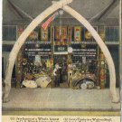 Washington Postcard Seattle Ye Olde Curiosity Shop J E Stanley Colman Dock