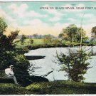 Postcard Scene On Black River Near Port Huron Michigan