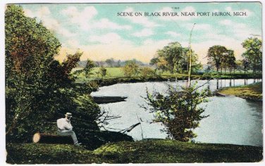 Postcard Scene On Black River Near Port Huron Michigan