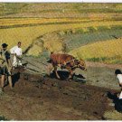 Republic Of Korea Postcard Country Scene