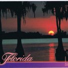 Florida Postcard Sunset Cypress Trees Spanish Moss Tranquil Waters