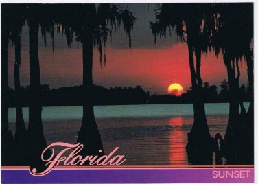 Florida Postcard Sunset Cypress Trees Spanish Moss Tranquil Waters