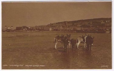 United Kingdom UK Postcard Weston Unemployed Super Mare