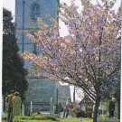 United Kingdom UK Postcard Bladon St Martin's Church