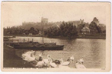 United Kingdom UK Postcard Windsor Castle From The Brocas Swans