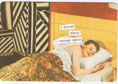 Anne Taintor Comic Postcard I Dream About Storage Space