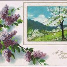 Greeting Postcard Embossed A Joyous Birthday Wish Hydrangeas & Apple Tree