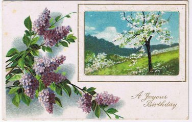 Greeting Postcard Embossed A Joyous Birthday Wish Hydrangeas & Apple Tree