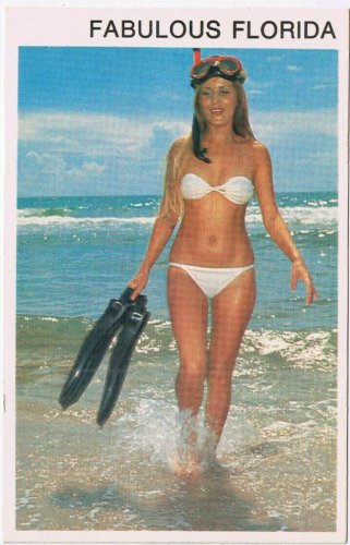 Postcard Risque Diving Is A Popular Sport Woman Bikini
