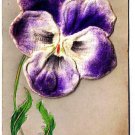 Flower Postcard Applied Iris