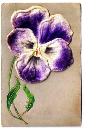 Flower Postcard Applied Iris