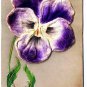 Flower Postcard Applied Iris