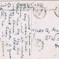 Postcard Fred Spurgin A Hot House Pear Beauty Series Postmarked 1913