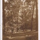 Postcard Nature Trail Dufferin Islands Niagara Falls Ontario