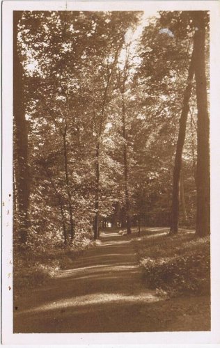 Postcard Nature Trail Dufferin Islands Niagara Falls Ontario