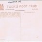 Postcard Lower Kicking Horse Canyon Golden Canadian Pacific Railway Rockies