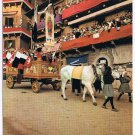 Italy Postcard Siena The Race The Corroccio